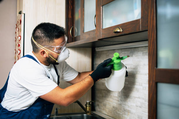 Best Wasp Removal Services  in Waterville, MN