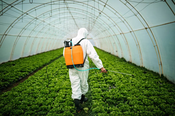 Best Pest Inspection Near Me  in Waterville, MN