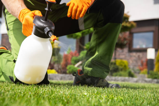 Best Bed Bug Extermination  in Waterville, MN