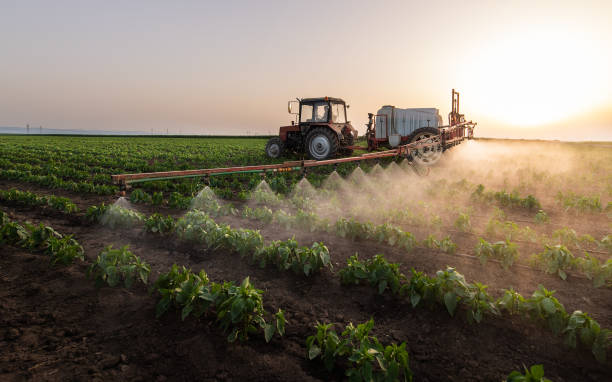 Best Mosquito Control Services  in Waterville, MN