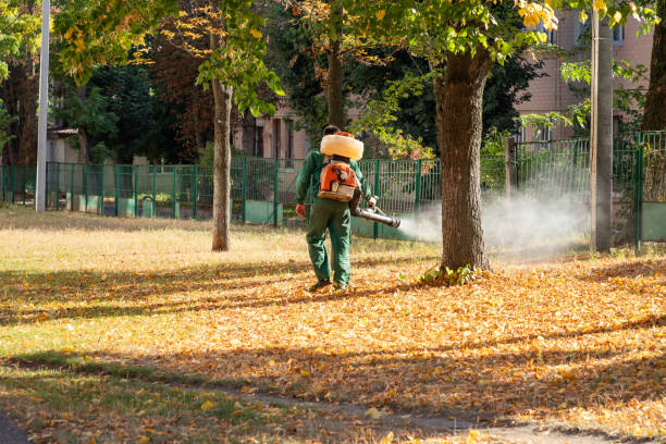 Best Cockroach Control Services  in Waterville, MN