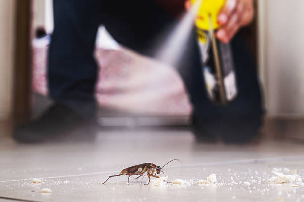 Professional Pest Control in Waterville, MN